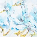 Ducks in a row