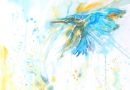 Kingfisher II