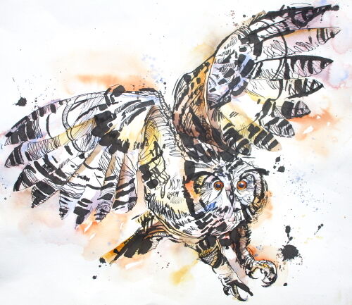 Siberian Eagle owl