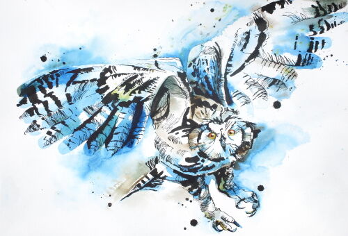 Eagle owl
