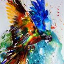 Parrot
