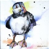 puffin