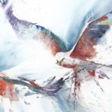 Soaring
