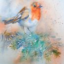 Christmas Robin