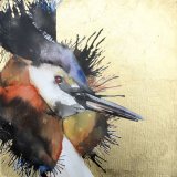 Grebe