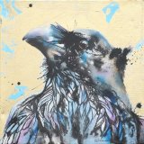 Raven