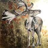 Fallow fellow