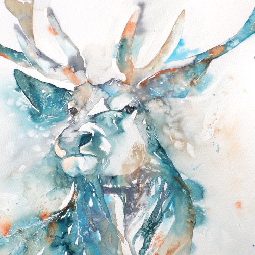 Stag
