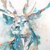 Stag