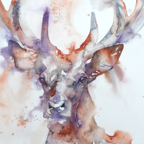 Stag at dusk