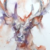 Stag at dusk