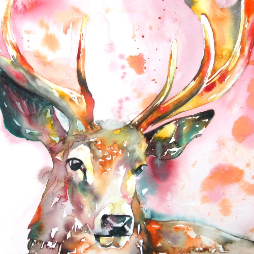 Stag