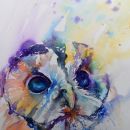 Tawny owl
