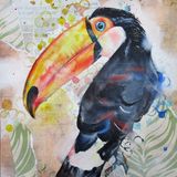 Toucan collage