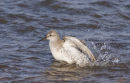 Knot bathing