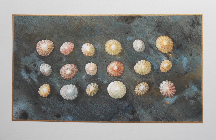 Beachcombing 2