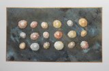 Beachcombing 2