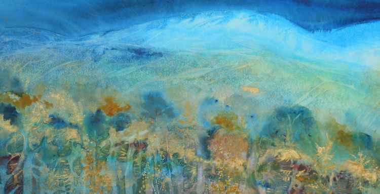Cairngorms Autumn