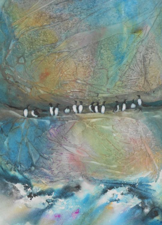 Guillemot Roost 4
