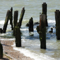 Landguard Point