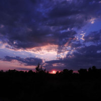 sunset at Wareham Forest