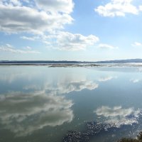 the Solent from Keyhaven Marshes