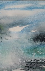 Wind Whipped Coast