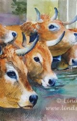 Thirsty Work (Transhumance Refreshment) Watercolour art work depicting Cows drinking at the village fountain during the transhumance