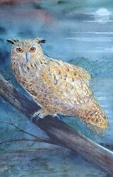 Eagle Owl