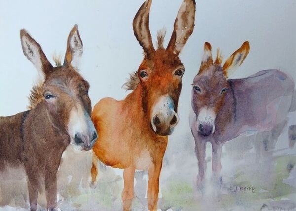 Ass & Two Donkeys