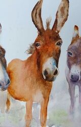Ass & Two Donkeys
