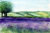 Exhibition at the Allen Gallery, Alton