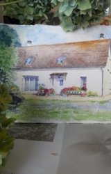 L and Y's in France NFS