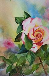 Pink & Gold Rose