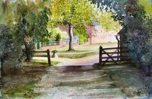 The Tulip Tree (Print Available)