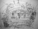 Climbing the Pergola sketch