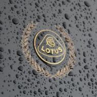 almost a tear-drop, brands festival 2013