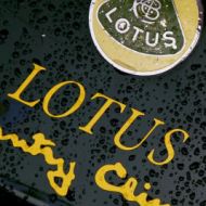 lotus matters