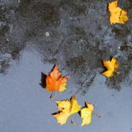 blvd saint michel 2012