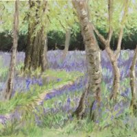 Ashridge Blue