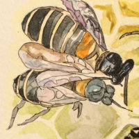 Elliott's bees (detail) (private collection)