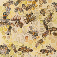 Elliott's bees (private collection)