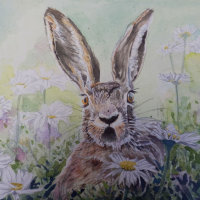 Hare amongst the daisies (SOLD)