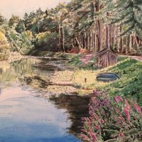 Pochard, Great Brickhill Summer 2016 (private collection)