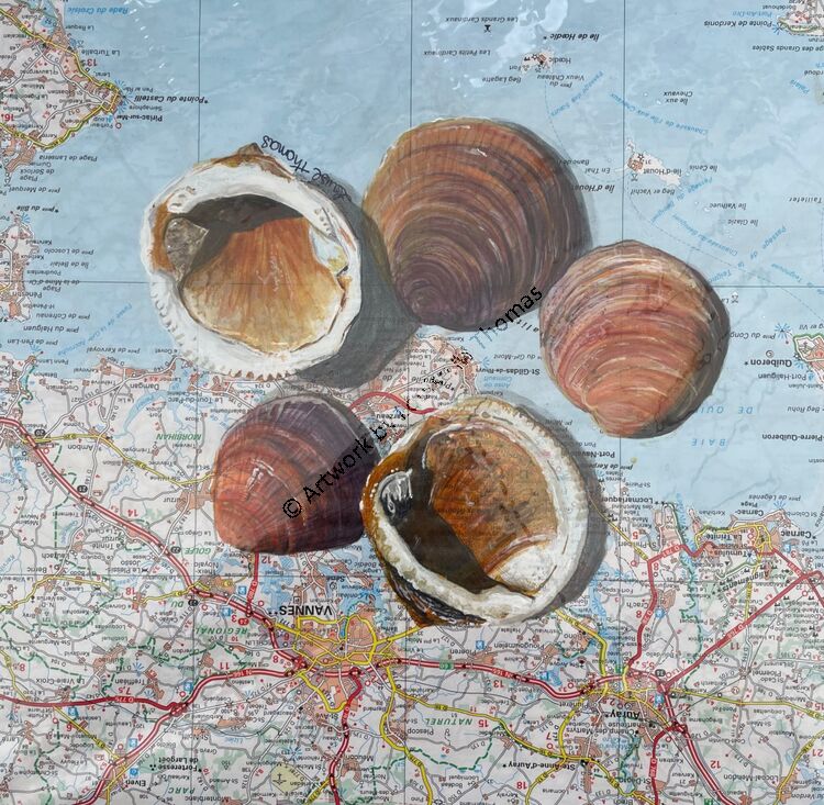 French shells