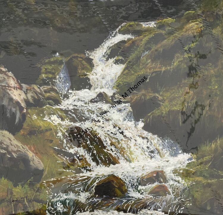 Bernex Spring snow melt