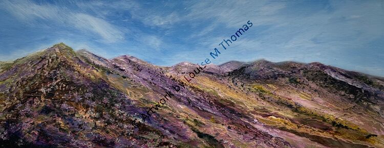 Mourne mountains Spring