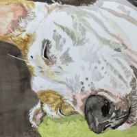 Molly (SOLD)