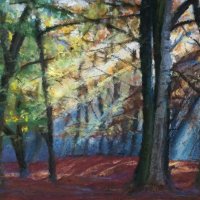 Moody woodland