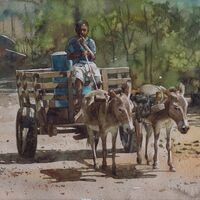 Donkey wagon, Tanzania